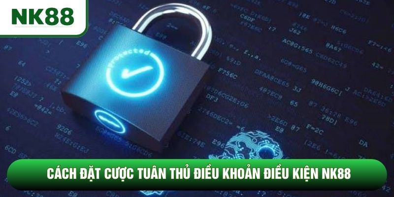 Cách đặt cược tuân thủ điều khoản điều kiện NK88