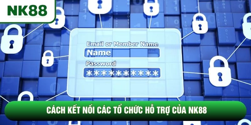 Cách kết nối các tổ chức hỗ trợ của NK88