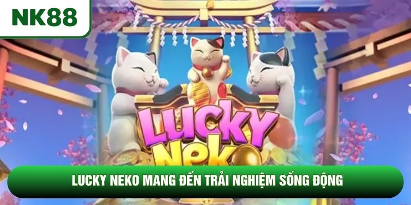 Lucky Neko mang đến trải nghiệm sống động Lucky Neko mang đến trải nghiệm sống động