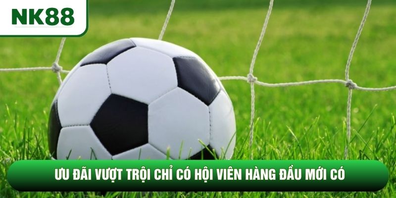 Ưu đãi vượt trội chỉ có hội viên hàng đầu mới có